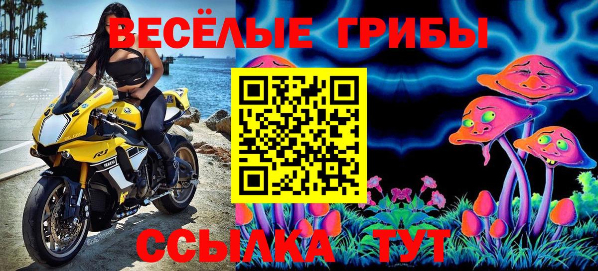 Псилоцибиновые грибы GOLDEN TEACHER Котельники