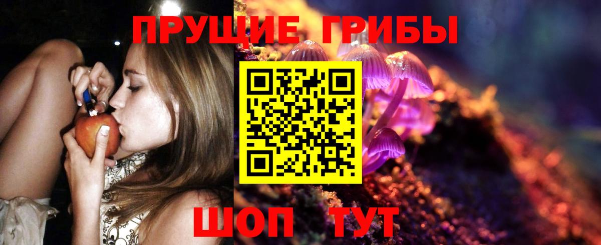 Псилоцибиновые грибы GOLDEN TEACHER  Галлюциногенные грибы мицелий  Котельники  цены   Вход с VPN 